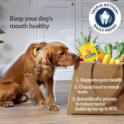 PEDIGREE DENTASTIX Fresh - Dental Dog Chews - Medium Dogs 10-25kg - 4 x 28 Sticks - Megapack of Dog Dental Sticks