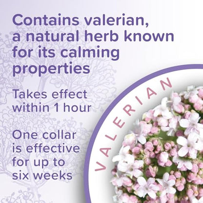 Beaphar - Herbal Calming Collar - For Cats - For Fireworks, Thunderstorms, Car Travel & Long-Term Stress - Contains the Natural Herb Valerian - Up to 6 Weeks of Calming - 1x Adjustable 65cm Collar