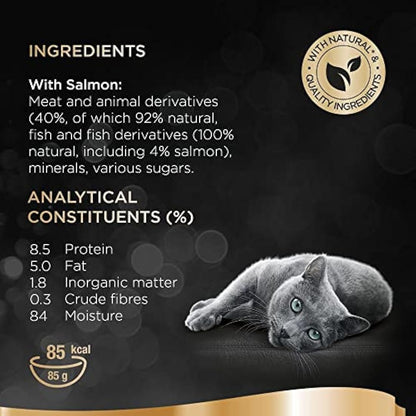 Sheba Fine Flakes in Jelly with Salmon – Wet cat food trays for adult cats – 22 x 85 g Pack