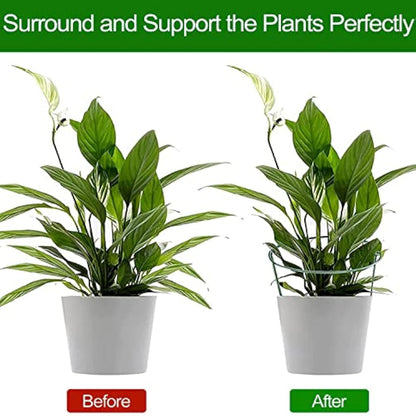 VLYHGO 6PCS 44x20cm Plant Supports for Garden Half Round Ring Plant Support Large Metal Garden Supports for Tomatoes Tulips, Roses, Daisies, Lavender