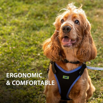 Ferplast Small Size Dog Harness ERGOCOMFORT SMALL, Adjustable Dog Harness, Comfortable, Padded, Double Micro-adjustment Closure, Quick Release, Blue