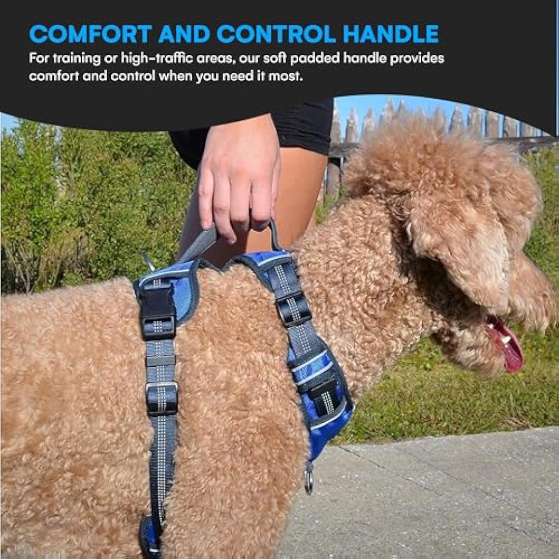 Black Rhino - Comfort Dog Harness with Mesh Padded Vest for Small - Large Breeds | Adjustable, Reflective | 2 Leash Attachments on Chest & Back - Neoprene Padded Training Handle | Large, Blue-Green