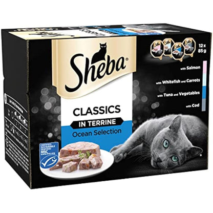 Sheba Classics in Terrine – Ocean Collection – Wet pate trays for adult cats – Pack of 4 (4 x 12 Trays x 85 g)