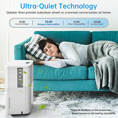 Hangsun 12L/Day Dehumidifier for Home Damp, Low Energy Dehumidifiers with Humidity Display, Laundry Drying, Continuous Drainage, 24H Timer Ideal for Large Room, Basement, Bedroom, Bathroom