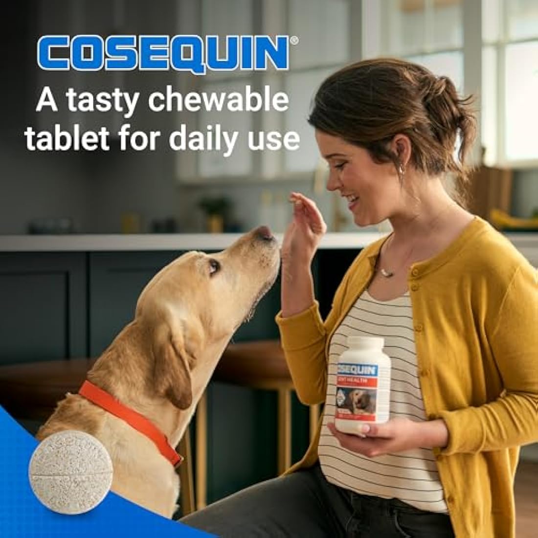 Nutramax Laboratories Cosequin Maximum Strength Joint Supplement Plus Msm - With Glucosamine And Chondroitin