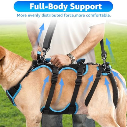 Lafoty Dog Lift Harness for Large Male Dogs, 2-in-1 Help Em Up Harness, Back Leg Support & Mobility Assistance for Senior Dogs, Post-Surgery Recovery Sling(Black, Large)