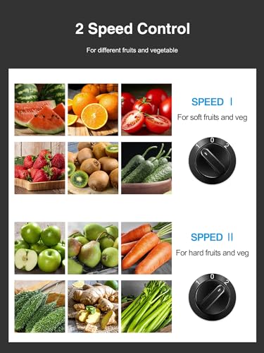 Juicer, Reemix Centrifugal Juicer Machines Whole Fruit and Vegetable 800W, 3-inch Wide Mouth Juicer Extractor with 2 Speeds, Brush Included Easy to