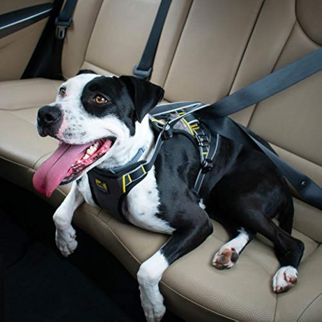 Kurgo Impact Dog Car Harness, Crash Tested, Integrates with Car Seatbelt System, Lightweight, Large-Black/Charcoal Grey