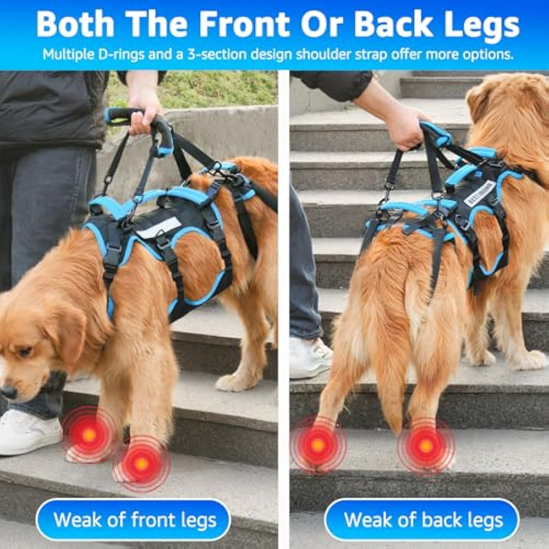 Lafoty Dog Lift Harness for Large Male Dogs, 2-in-1 Help Em Up Harness, Back Leg Support & Mobility Assistance for Senior Dogs, Post-Surgery Recovery Sling(Black, Large)