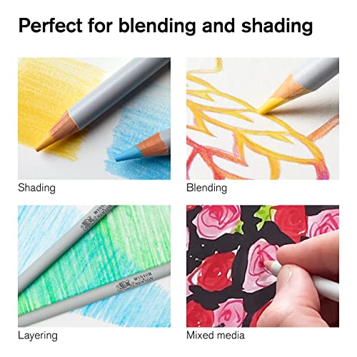 Winsor & Newton Studio Collection Colouring Pencils, 48 Soft Core Drawing Pencils, Premium Artist Quality, for Sketching, Blending, Shading and Layering