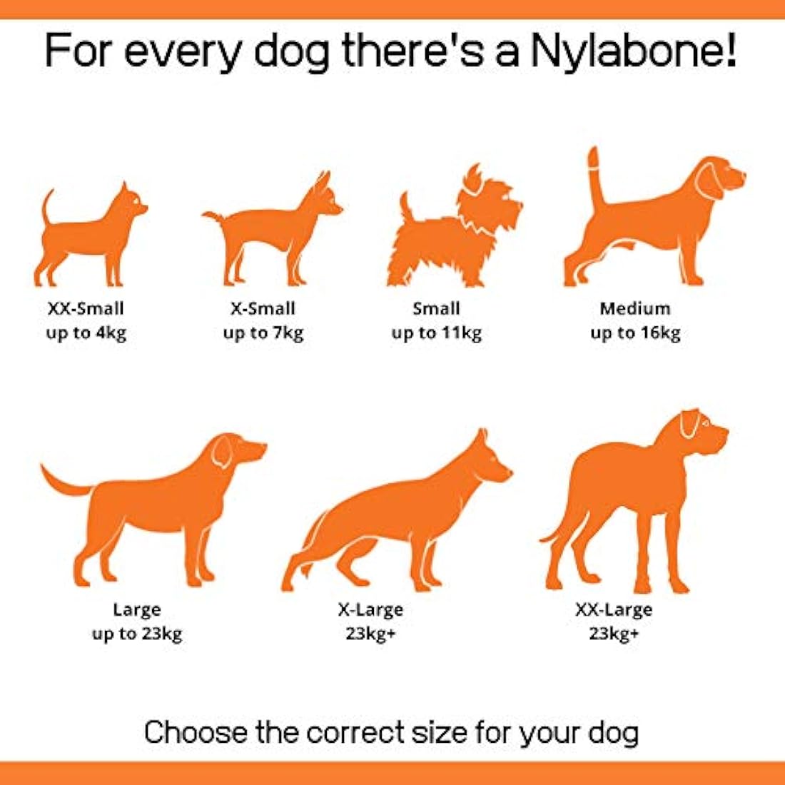 Nylabone Extreme Tough Dog Chew Toy, Souper Bone, Duck Jerky Flavour, Mess-Free, For Dogs Over 23 Kg - X-Large