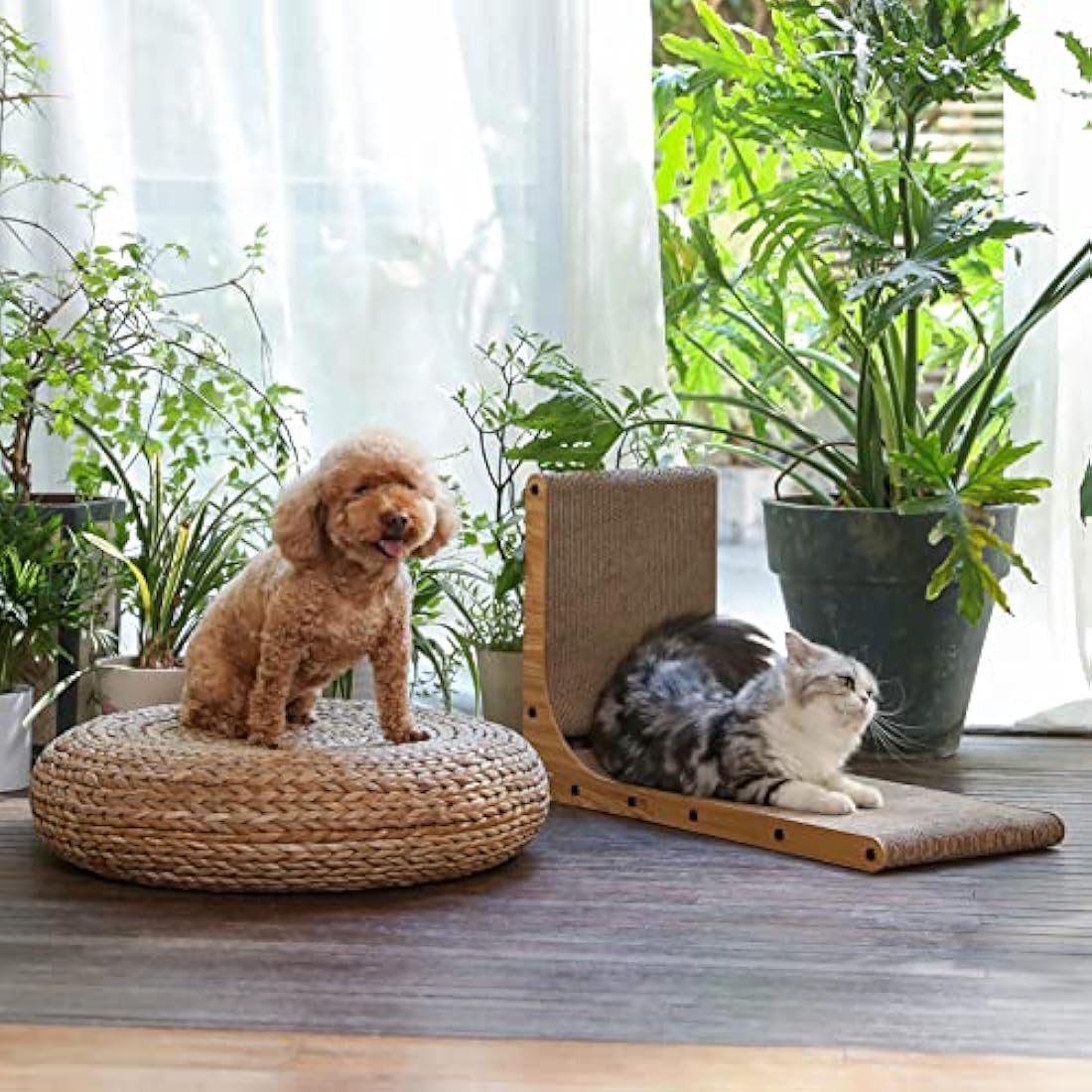 FUKUMARU Cat Scratcher, 68 cm L Shape Cat Scratch Pad Wall Mounted, Cat Scratching Cardboard with Ball Toy for Indoor Cats