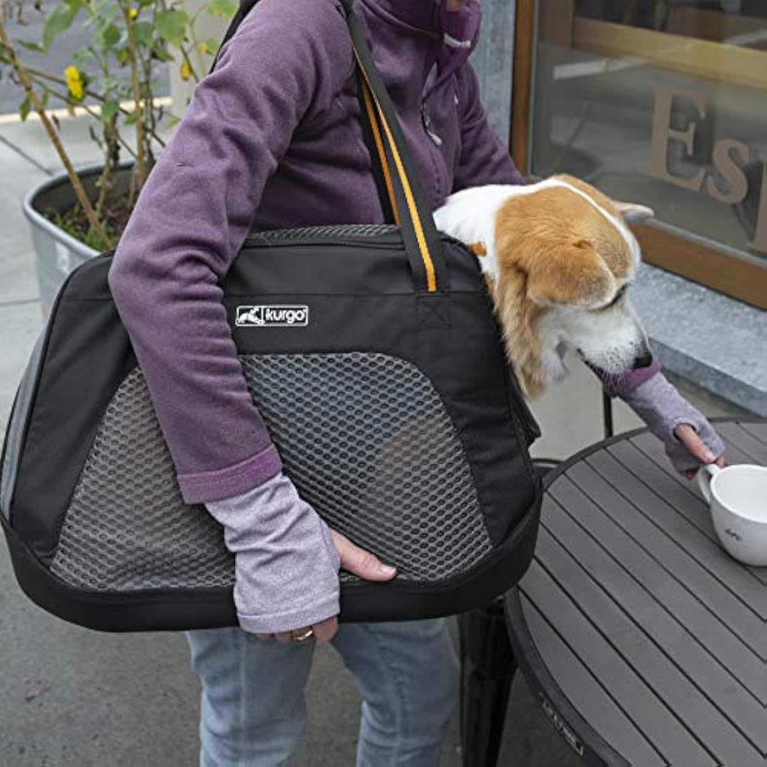 Kurgo Explorer Carrier, Carrier Bag for Small Dogs and Cats, Waterproof Bottom, Lightweight, Large-Black