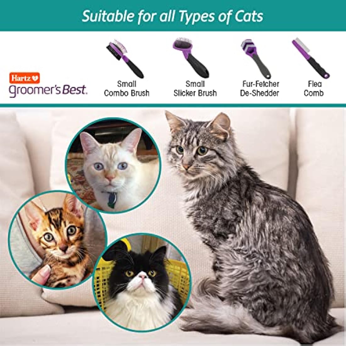 HARTZ, Groomer's Best Small Slicker Brush for Cats and Small Dogs, Black/Violet, 1 Count