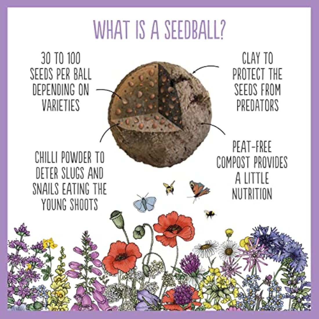 SEEDBALL Butterfly Mix Seed Bombs (Wild Flower Tin) - 20 Seed Balls Per Pack | Eco Friendly British Wildflower Seeds | Clay Protected Seed Bomb for Butterflies – A Mix of Purple, Pink & Blue Flowers
