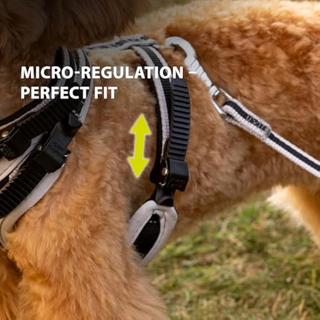Ferplast Medium Size Dog Harness ERGOCOMFORT MEDIUM, Adjustable Dog Harness, Comfortable, Padded, Double Micro-adjustment Closure, Quick Release, Silver