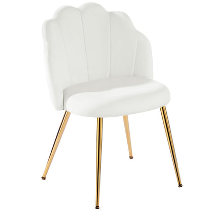 Eufurnibi Velvet Shell Chair with Gold Legs, Vanity Chair for Bedroom Dressing Table, White Upholstered Accent Chair for Living Room