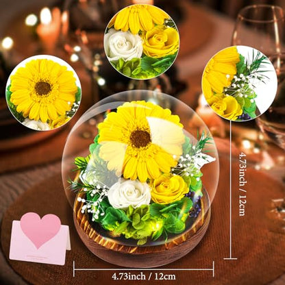 Touloube Mothers Day Chrysanthemum Flowers Gifts for Women, Real Stabilized Sunflower Glass Dome, Eternal Sunflower with LED Lights&Gift Box, Advanced