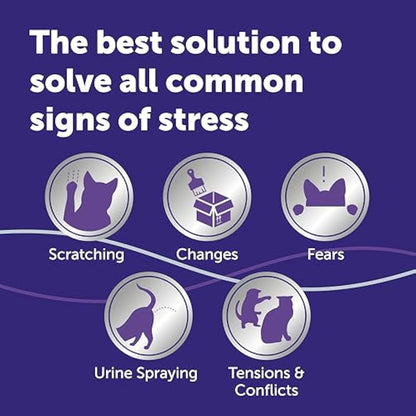 FELIWAY Optimum 30 Day Cat Calming Odourless Refill for Pheromone Diffuser, 48ml - Helps Solve Signs of Stress in Cats & Kittens, Veterinary Recommended, Drug-free, Clinically Proven
