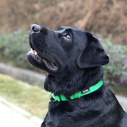 Hyhug Pets Solid Color Martingale Nylon Dog Collar, Heavy Duty Anti-Escape Large Dogs Collar.(Large,Lime Green)