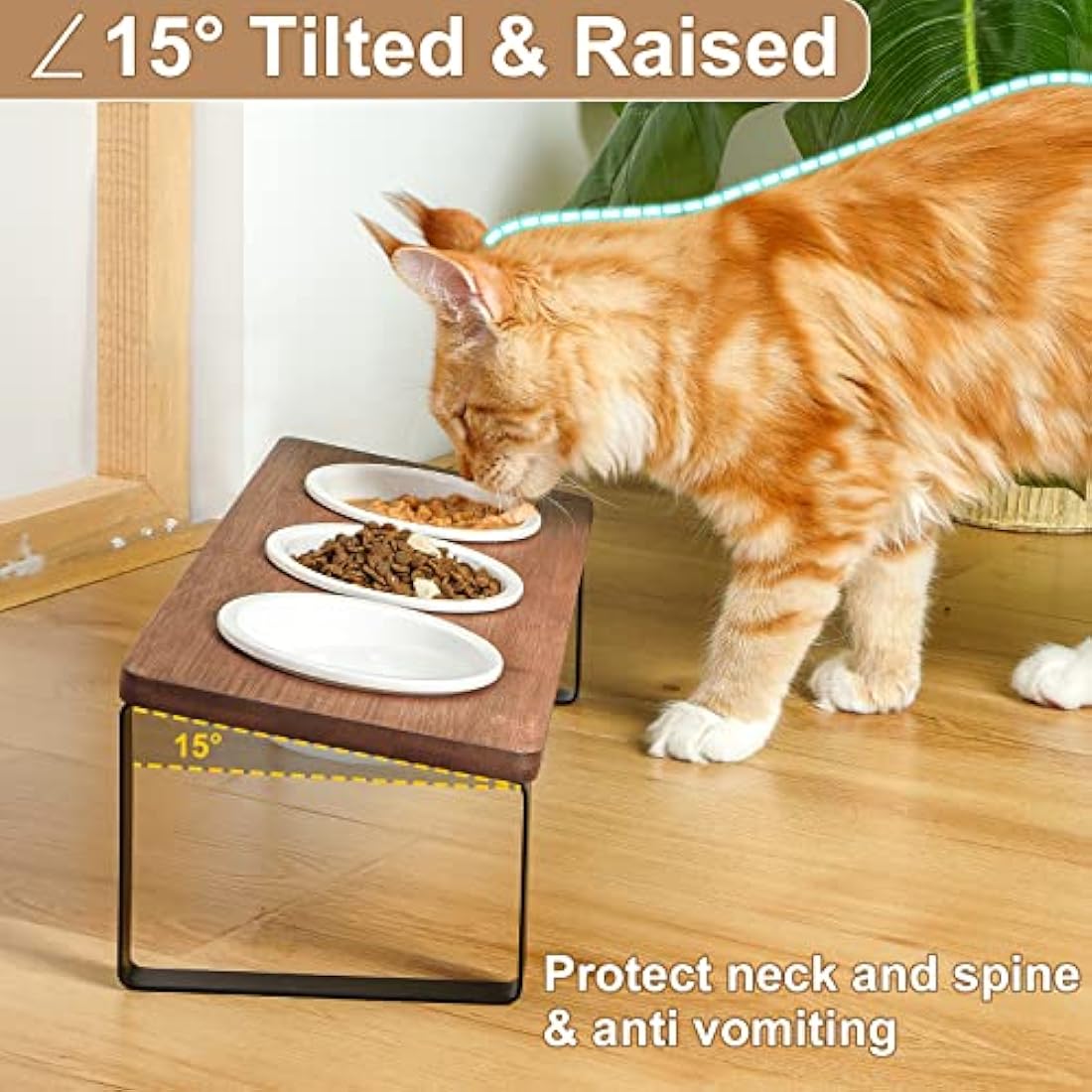 GUUSII HOME Raised Cat Bowl with Stand Kitty Dish Ergonomic Elevated Feeding Station 15° Tilted Ceramic Food and Water Bowls Set of 3 for Indoor Cats Pet Puppy Plate Anti Vomit Easy to Clean