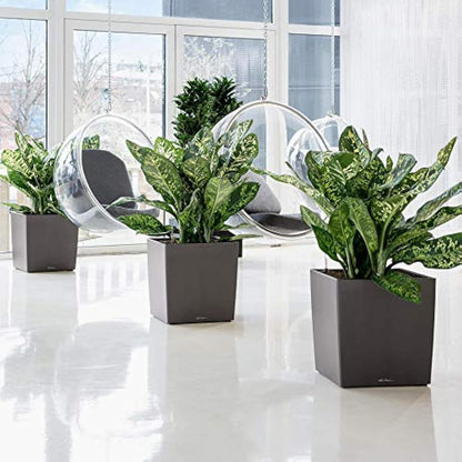 Lechuza Self Watering Plant Pot CUBE 50 Garden Flower Indoor and Outdoor Large Plastic Planter with Drainage Hole H50 L50 W50 cm White High-Gloss