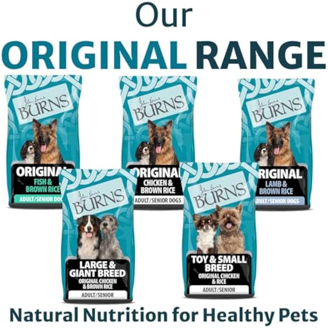 Burns Pet Nutrition Hypoallergenic Complete Dry Dog Food Adult and Senior Dog Original Chicken and Brown Rice 6 kg