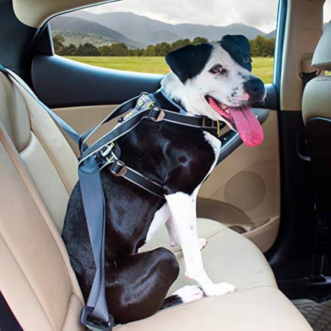 Kurgo Impact Dog Car Harness, Crash Tested, Integrates with Car Seatbelt System, Lightweight, Large-Black/Charcoal Grey