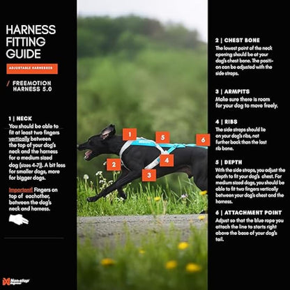 Non-stop dogwear Freemotion harness 5.0 Dog Pulling Harness for Sports like Running, Biking and Skiing with Dogs, Professional Adjustable Dog Harness, Blue/Gray, Size 6