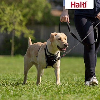 HALTI No Pull Harness & Training Leash Large Combination Pack - Stop Dog Pulling, Black, Adjustable, Lightweight, Easy to Use for Large Dogs