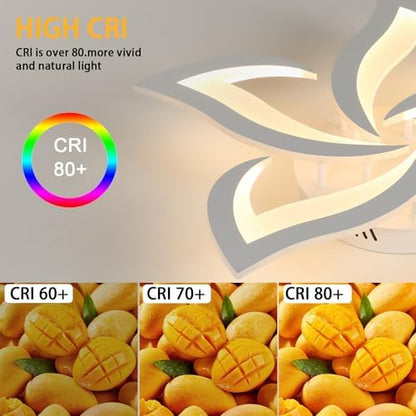 Comely LED Ceiling Light, 60W 6750LM Modern Lamp, Elegant Petal Design Light for Living Room Bedroom Dining Room (Warm Light 3000K, Dia 60cm)