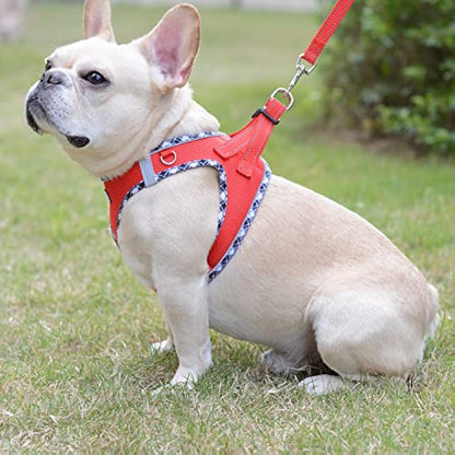 DORAMIO Step-in Dog Harness and Leash Set, Soft Mesh No-Chock Reflective Breathable Easy Walk Lightweight Vest Harnesses with Safety Buckle for Small Dogs, Cats, Puppies (Red, XL)