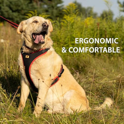 Ferplast Small Size Dog Harness ERGOCOMFORT EXTRA SMALL, Adjustable Dog Harness, Comfortable, Padded, Double Micro-adjustment Closure, Quick Release, Red