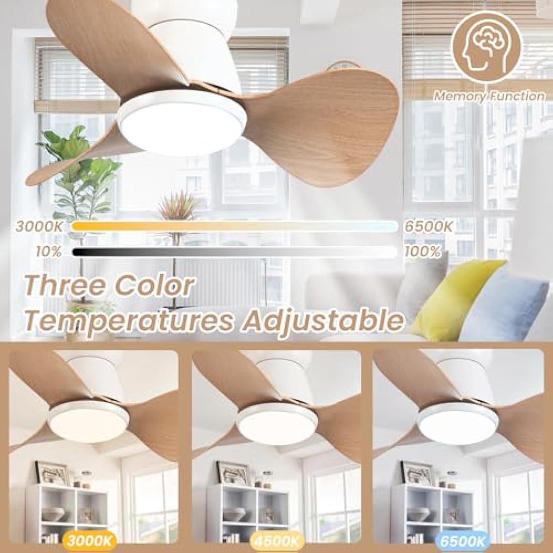 ycwdcz Small Ceiling Fans with Lamps Super Silent DC Ceiling Fans with Lights and Remote 6 Speeds Reversible 3 Blades 3 CCT, Mini Led Ceiling Fan for Small Bedroom Kids Room