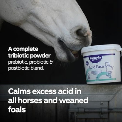 Protexin Equine Premium Acid Ease, 3 Kg, FE1016