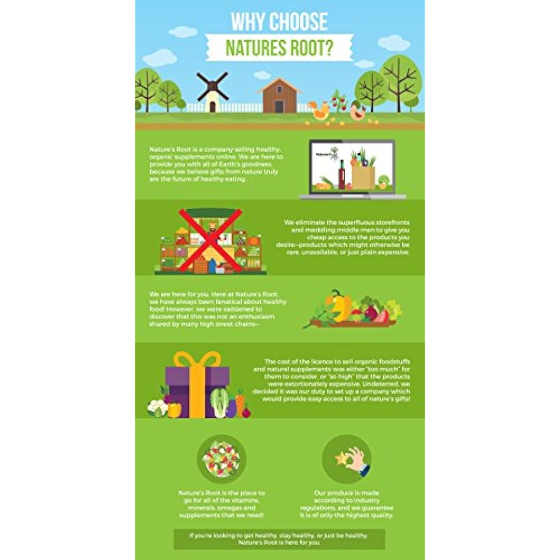 Natures Root Organic Broccoli Sprouting Seeds 1kg - Superfood | Non GMO | Microgreen Sprouts