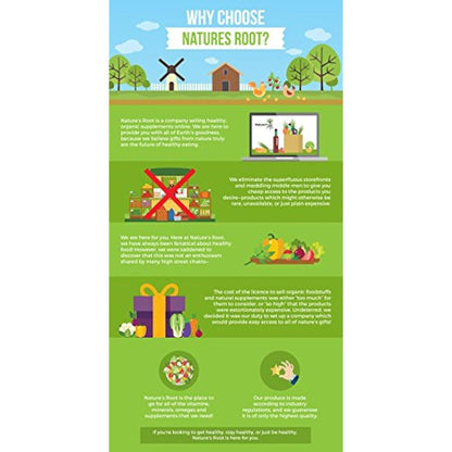 Natures Root Organic Broccoli Sprouting Seeds 1kg - Superfood | Non GMO | Microgreen Sprouts