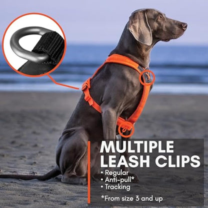 Nonstop Line Harness, Chest Harness, Guide Harness for Dogs, Adjustable Size (5, Orange)