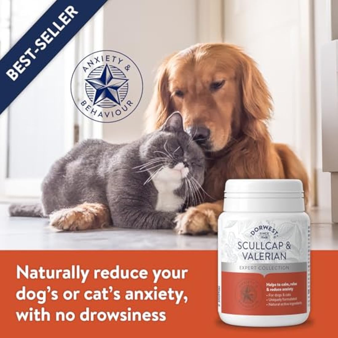DORWEST HERBS Scullcap & Valerian Calming Tablets for Dogs and Cats, 200 Tablets, Natural Dog Calming Supplements for Stress and Anxiety Relief – Sugar-Free, Non-Drowsy, Light Yellow Tablet, 14DOR017