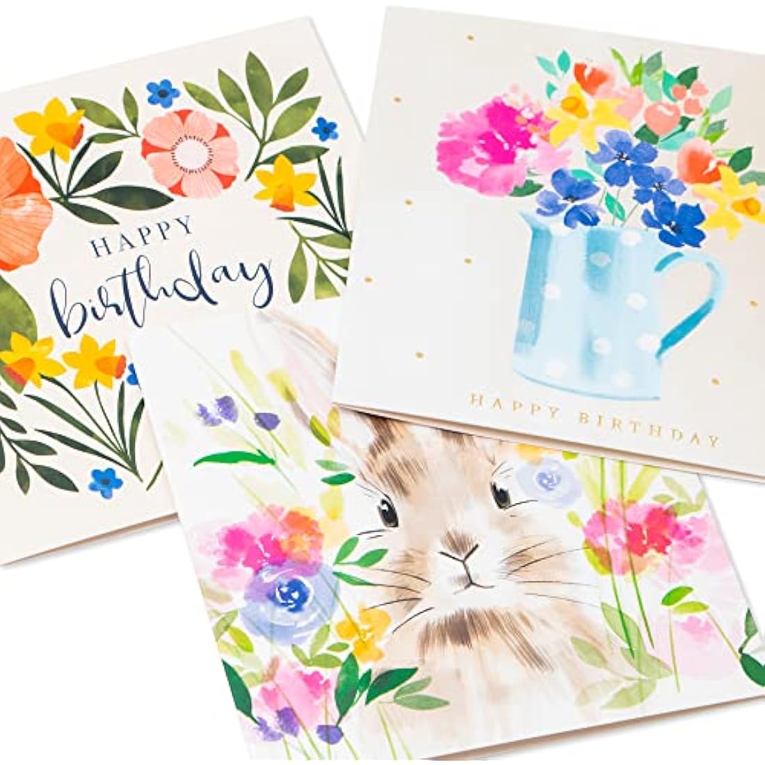 Tall Boy | Everyday Marie Curie Charity Pack Bundle of 36 Greeting Cards Perfect for Birthdays & All Occasions