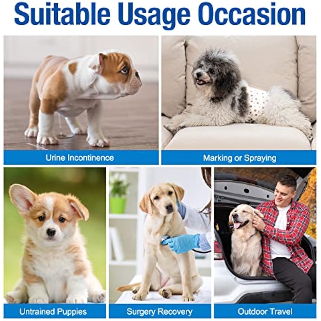 Pet Soft Dog Nappies Male-Disposable Male Dog Wraps 50 Counts, Super Absorbent Puppy Dog Diapers Incontinence Nappy Wraps with Wetness Indicator (L-50 Count)