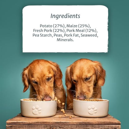 Burns Pet Nutrition Hypoallergenic Complete Dry Dog Food Adult and Senior Dog Sensitive with Pork and Potato 6 kg
