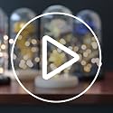 TINYOUTH Golden Rose in Glass Dome Black Wooden Base, Light Up 24K Eternal Rose Batteries Included for Wedding Anniversary Mama Valentines Christmas Birthday
