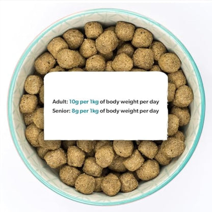 Burns Pet Nutrition Hypoallergenic Complete Dry Dog Food Adult and Senior Dog Original Fish and Brown Rice 12 kg