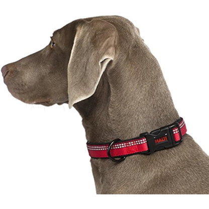 HALTI Collar, Size Medium, Purple, Best Comfy Dog Collar, Premium Puppy Collar, Nylon, Neoprene-Padded, Reflective, Easy to Fit & Use, For Small, Medium & Large Dogs