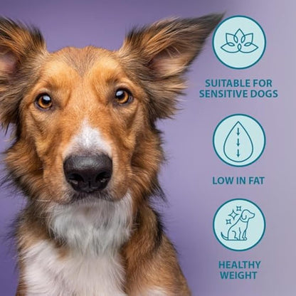 Burns Pet Nutrition Hypoallergenic Complete Dry Dog Food Adult and Senior Dog Weight Control Chicken and Oats 6 kg