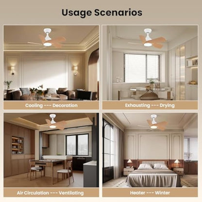 CJOY 30 inch Ceiling Fan Light, Woodgrain Ceiling Fans with Lights Dimmable, Memory 3CCT, 6 Speeds, Quiet, Reversible DC 5 Blades, Fan Lights Ceiling for Bedroom/Kids Room/Corridor/Aisle