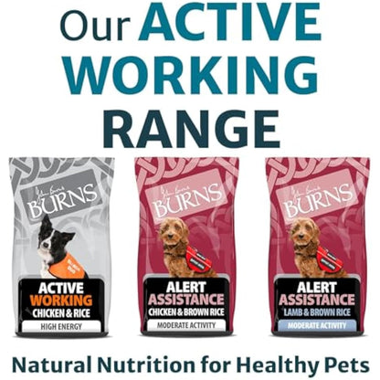 Burns Pet Nutrition Hypoallergenic Complete Dry Dog Food Adult and Senior Dog Alert Lamb and Brown Rice 12 kg