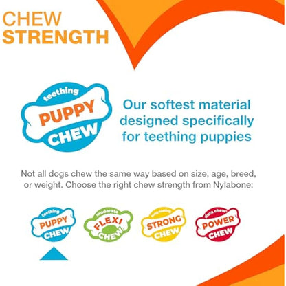 Nylabone Puppy Dog Teething Chew Toy Pacifier, Bacon Flavour, Extra Small, for Puppies Up to 7 kg, Blue/Pink