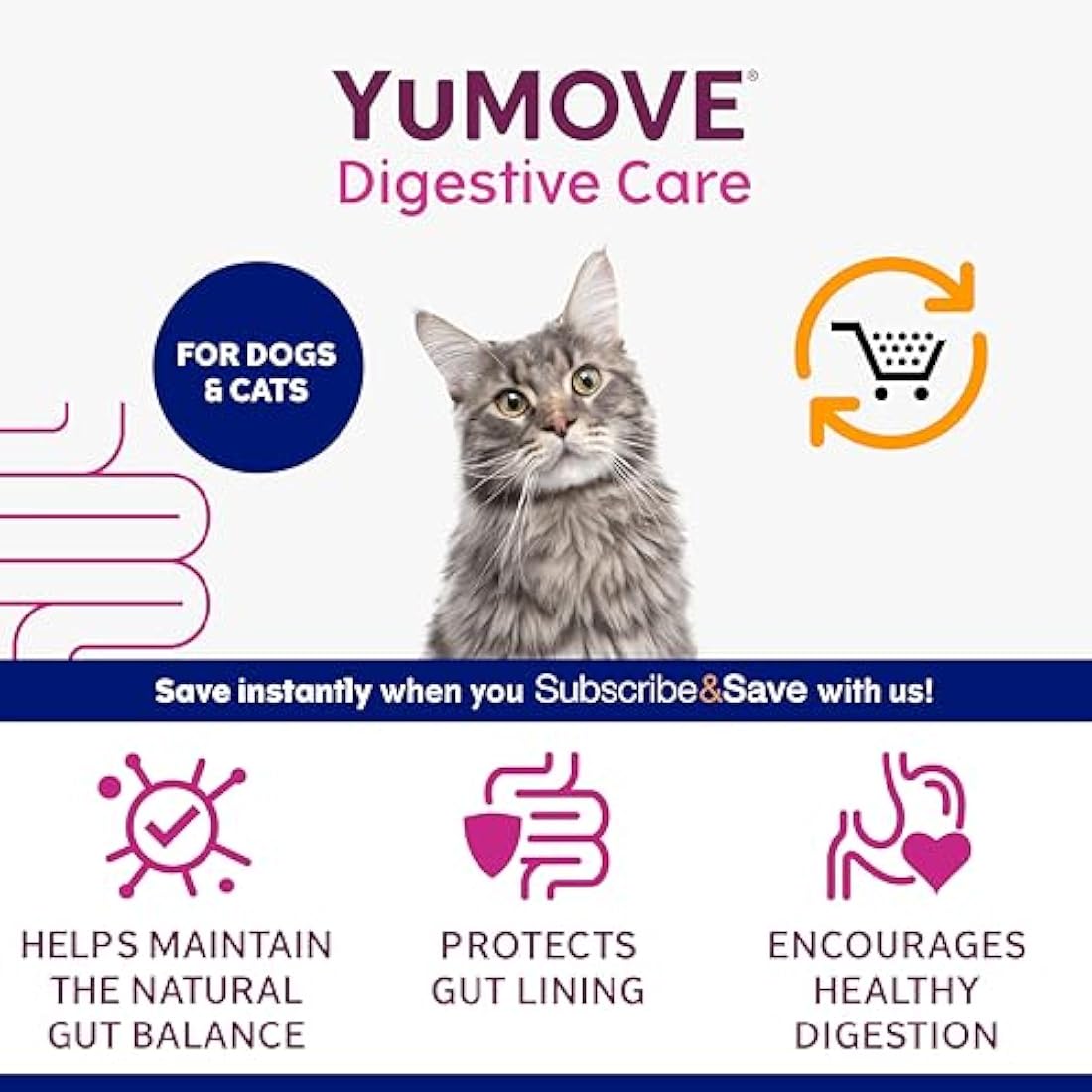 YuMOVE Digestive Care PLUS, Dogs & Cats Pre and Probiotics Supplement for Gut Health, Digestive Support Veterinary Strength with Fast-acting Ingredients, All Ages and Breeds, 6 Sachets